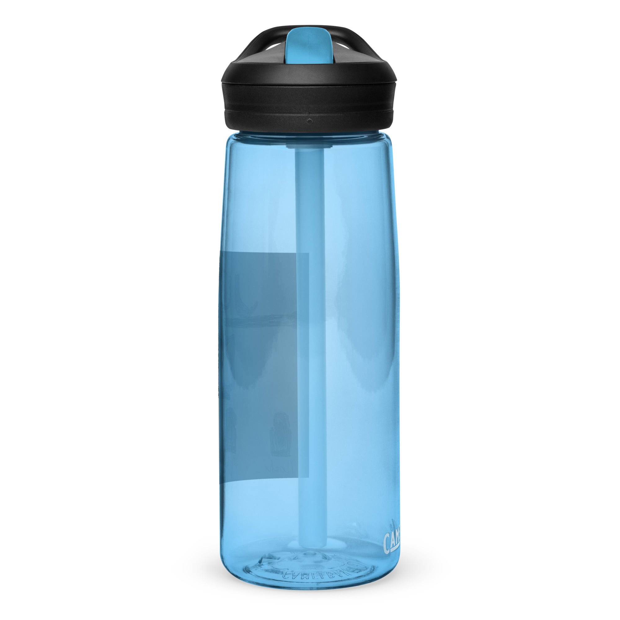 SDS Judgement Day Sports water bottle