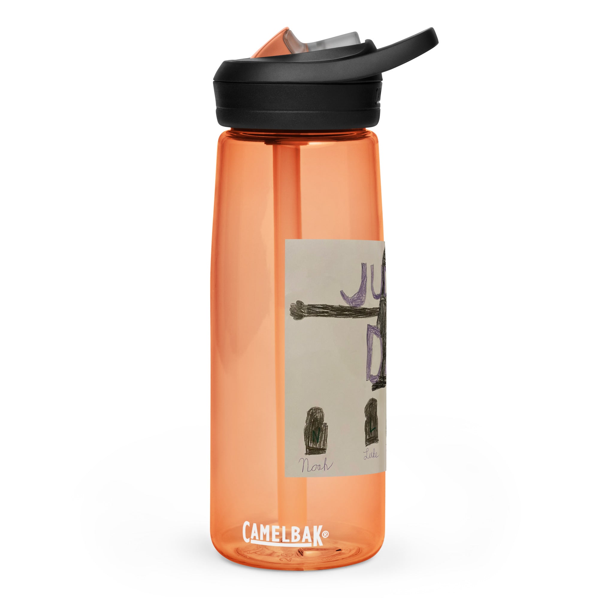 SDS Judgement Day Sports water bottle