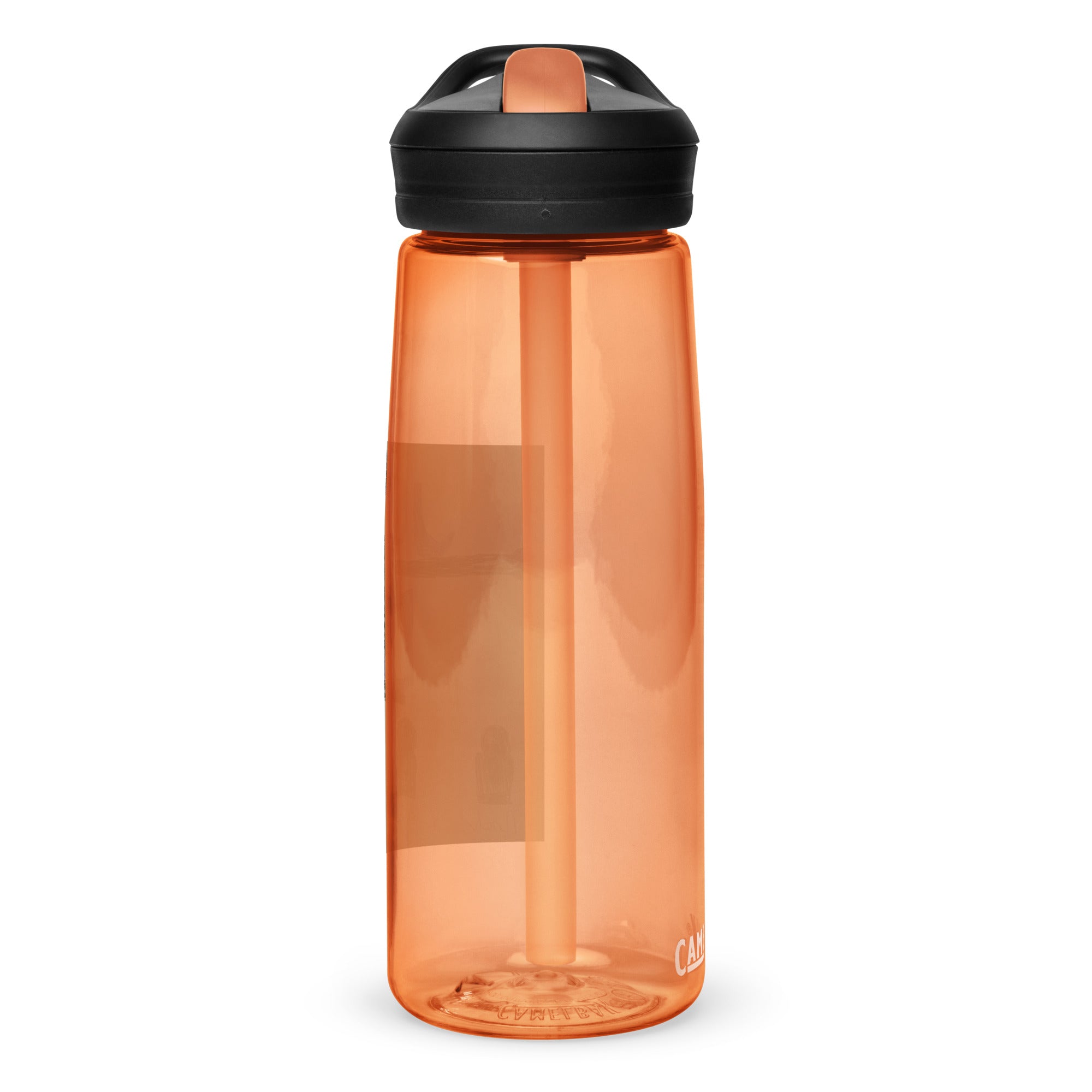 SDS Judgement Day Sports water bottle