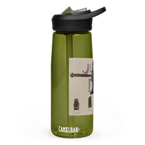 SDS Judgement Day Sports water bottle
