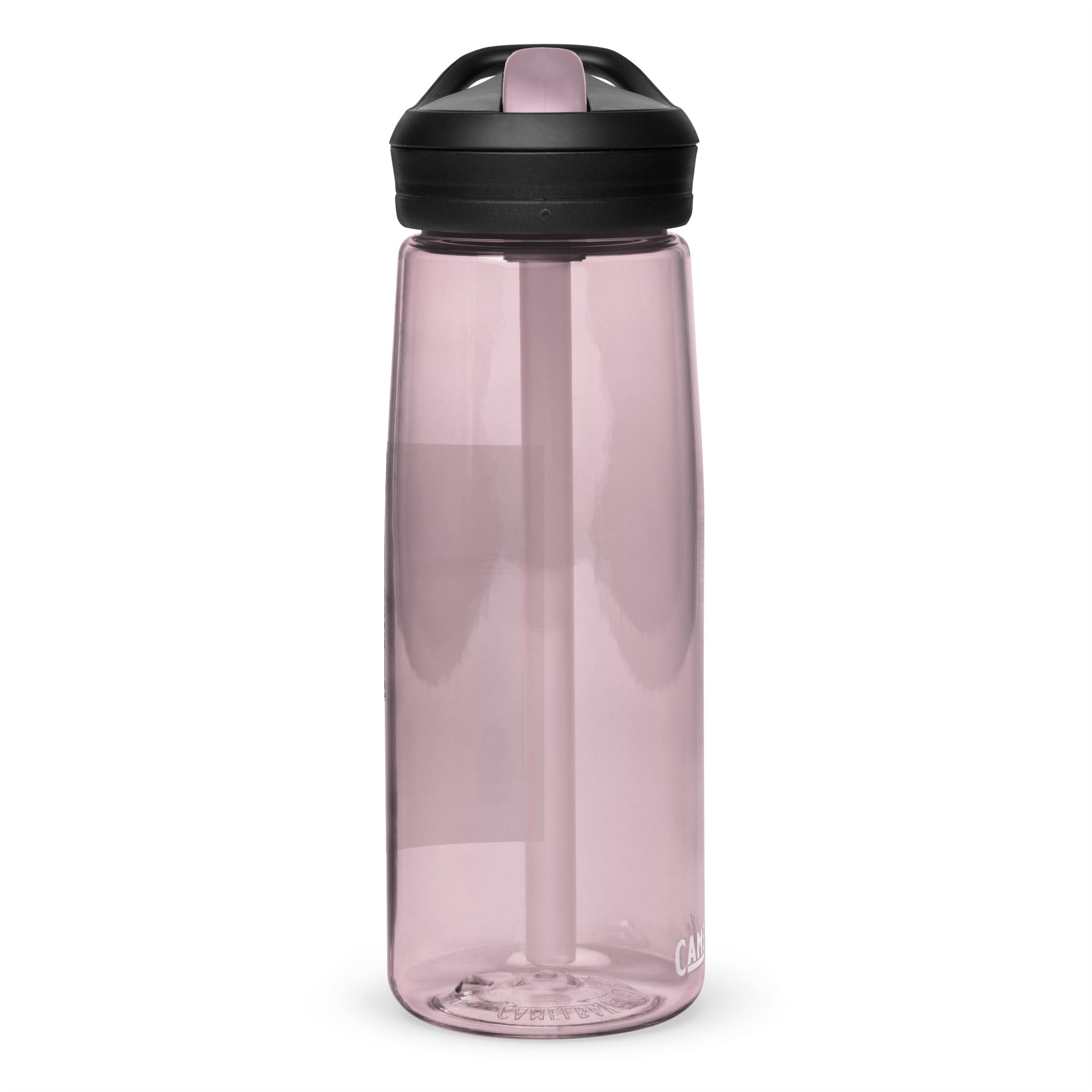 SDS Judgement Day Sports water bottle