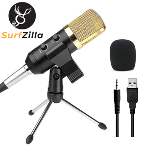 Personal Condenser Mic