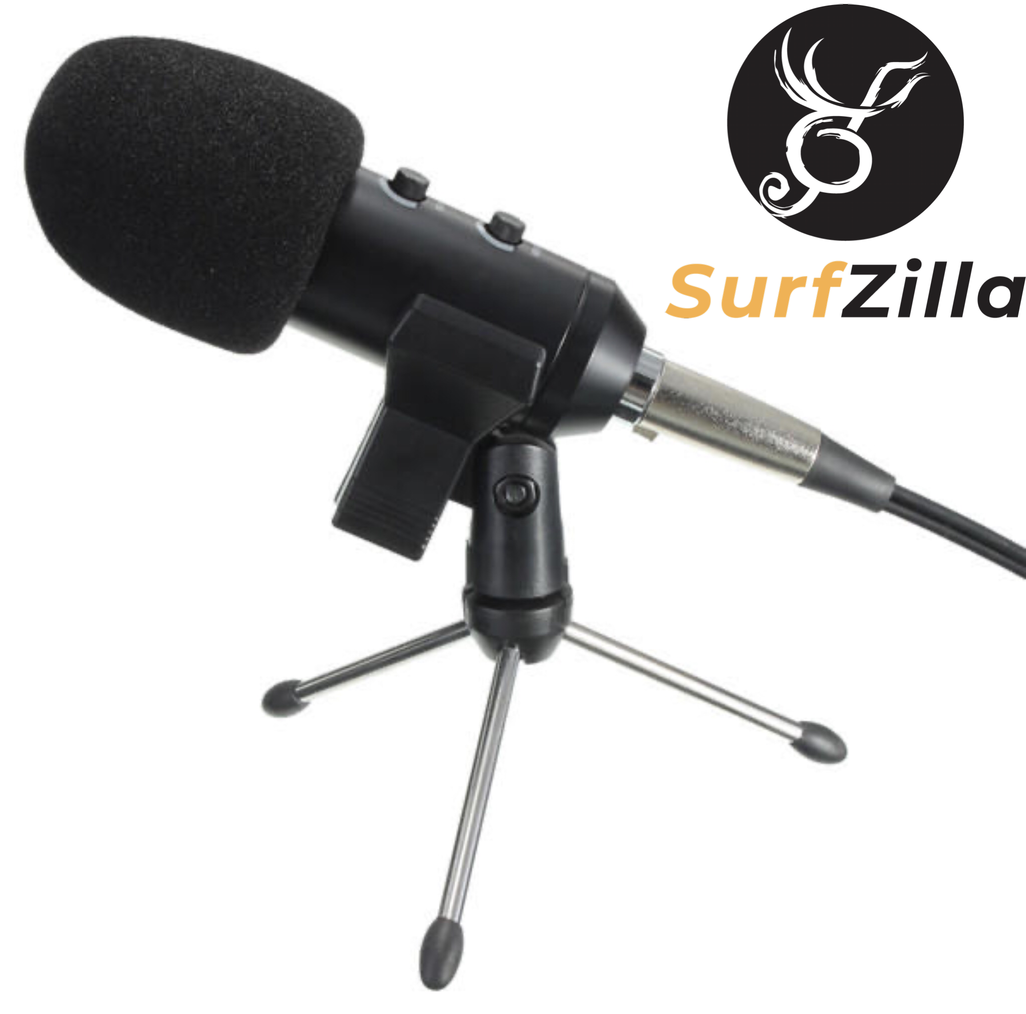 Personal Condenser Mic