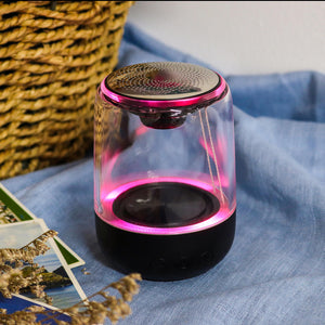 SurfZilla Personal Light Speaker