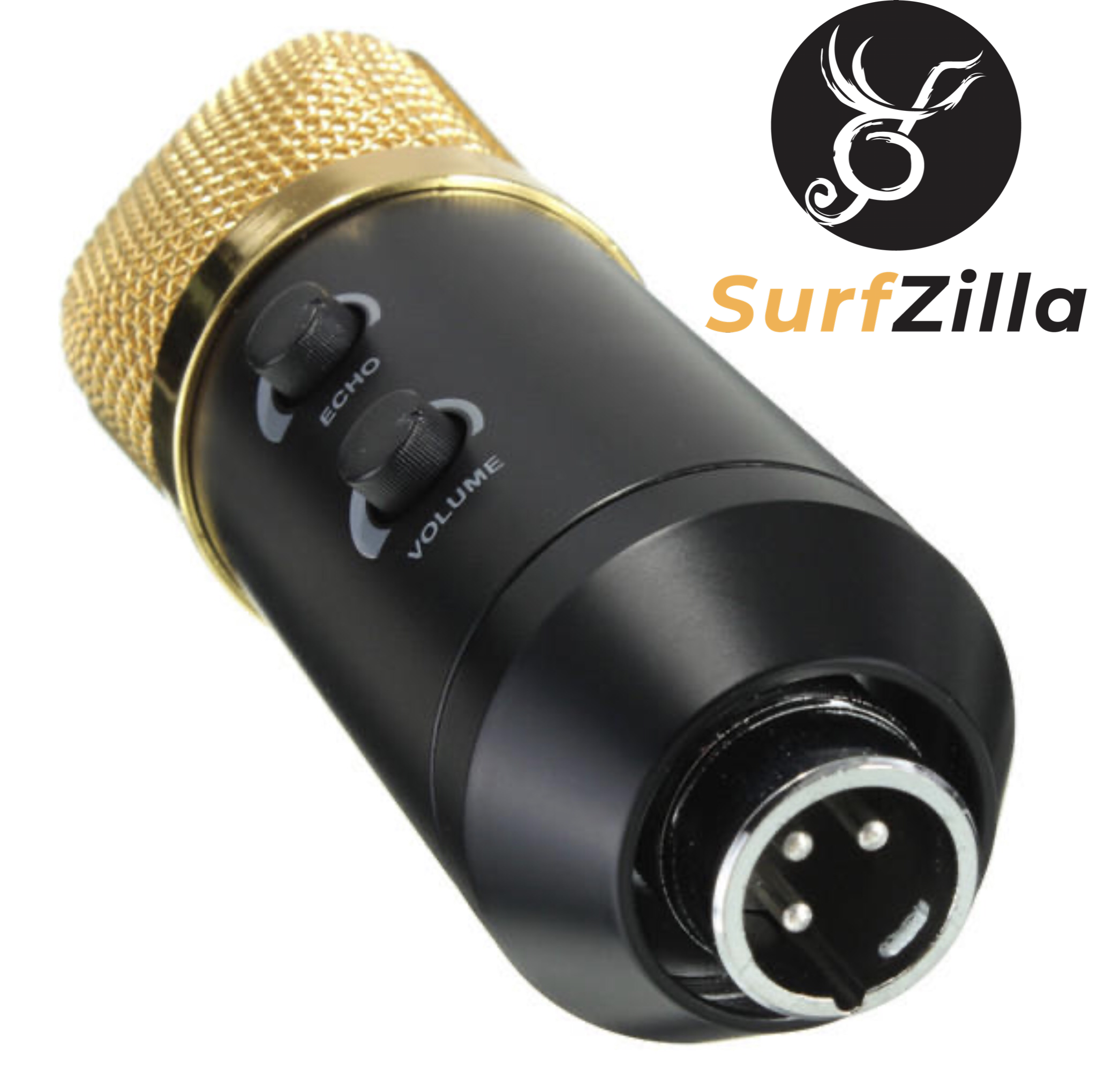 Personal Condenser Mic