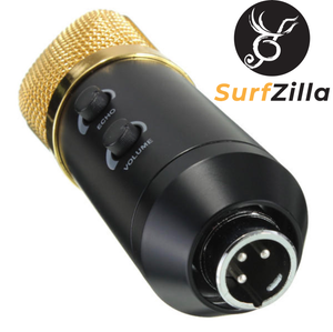 Personal Condenser Mic