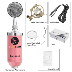 SurfZilla Mic Kit