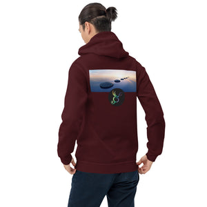 #iSurvived2020 Unisex Hoodie