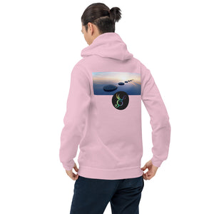 #iSurvived2020 Unisex Hoodie