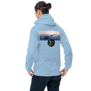 #iSurvived2020 Unisex Hoodie