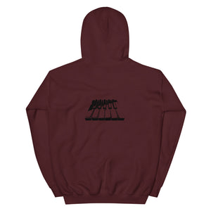 Church Musician Bass 2 Unisex Hoodie