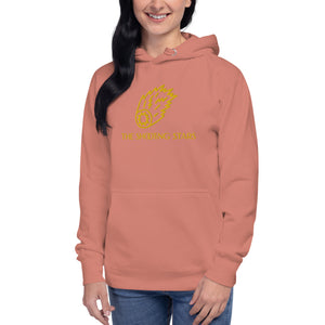 HF Shooting Stars Unisex Hoodie
