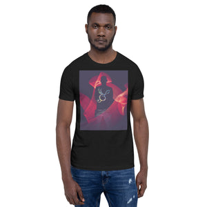 Abstract: The Boul Unisex t-shirt
